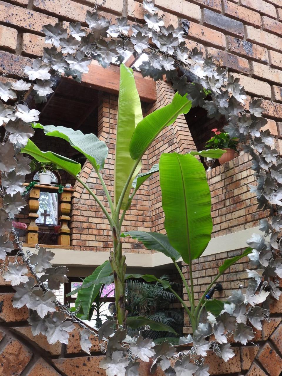 Mossel Bay Guest House Exterior photo